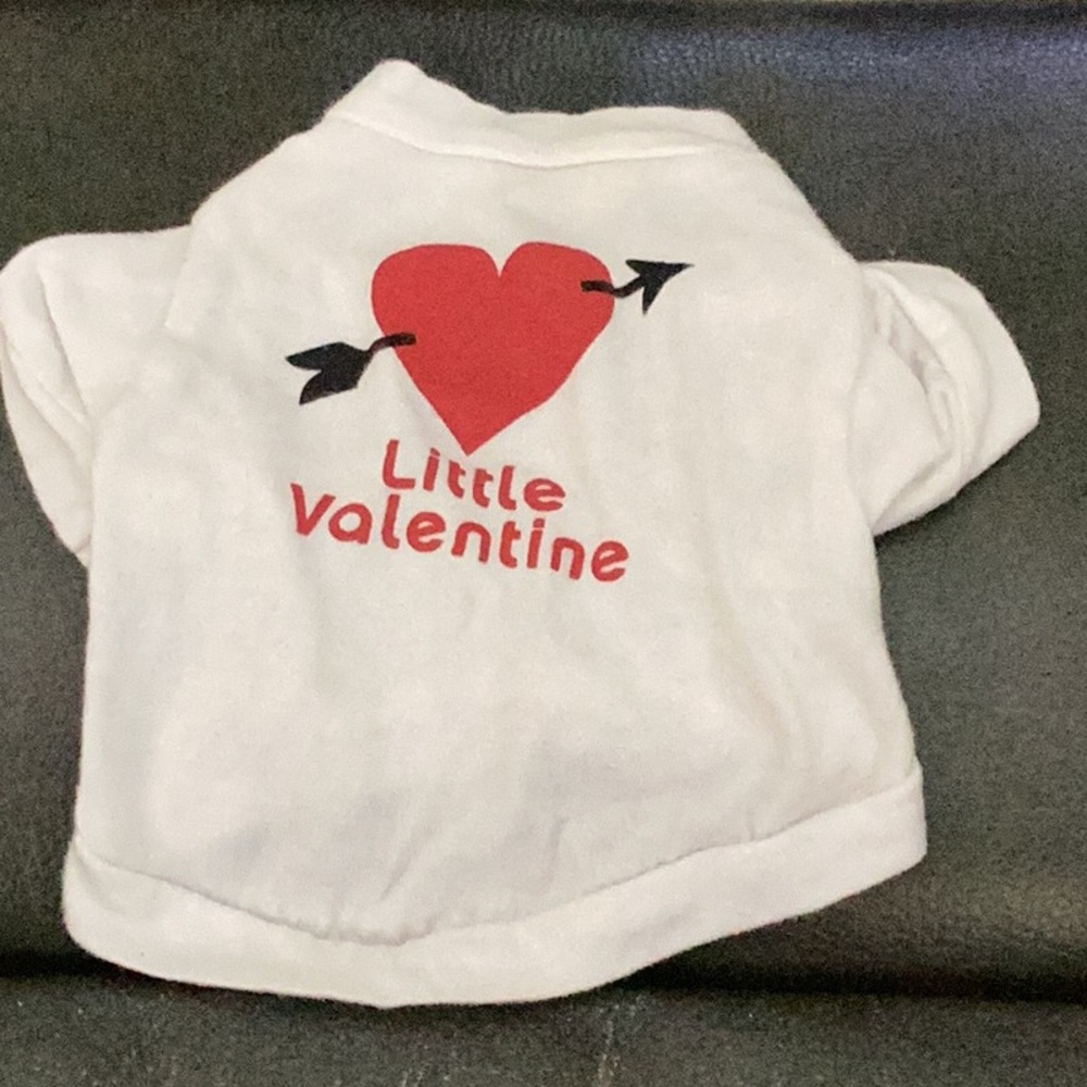 Valentines Day dog t-shirt